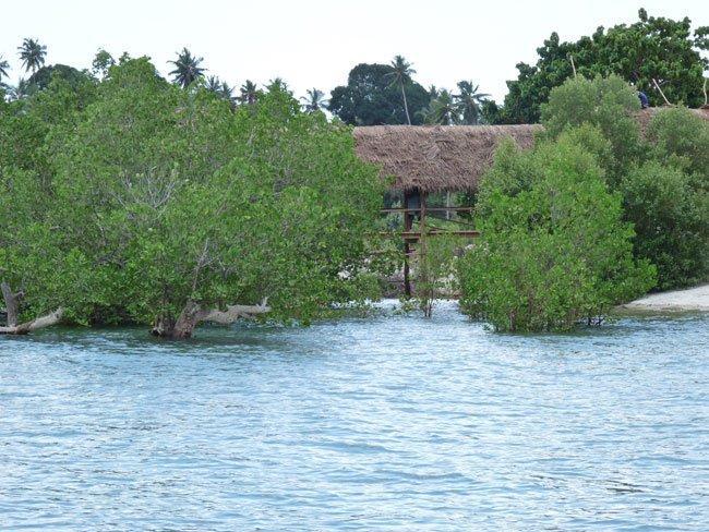 Pemba Misali Sunset Beach Wesha Dış mekan fotoğraf